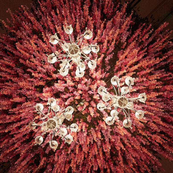 Social & Corporate Bella Flora of Dallas