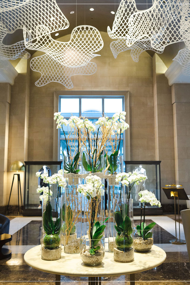 services11 services11